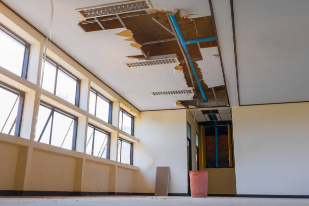 Best Carpet water damage restoration  in Robins Af, GA