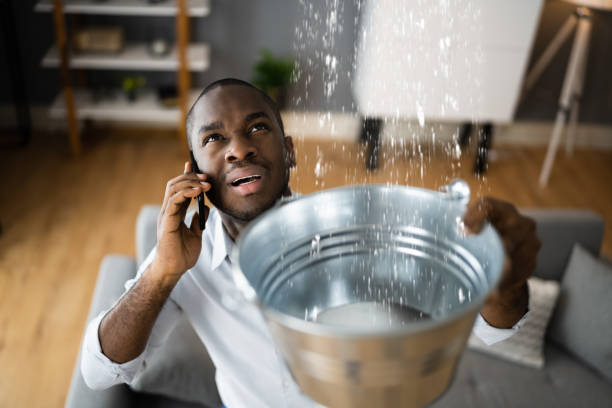 Best Carpet water damage restoration  in Robins Af, GA