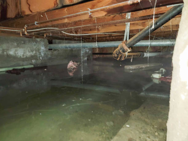 Trusted Robins Af, GA Water damage restoration Experts