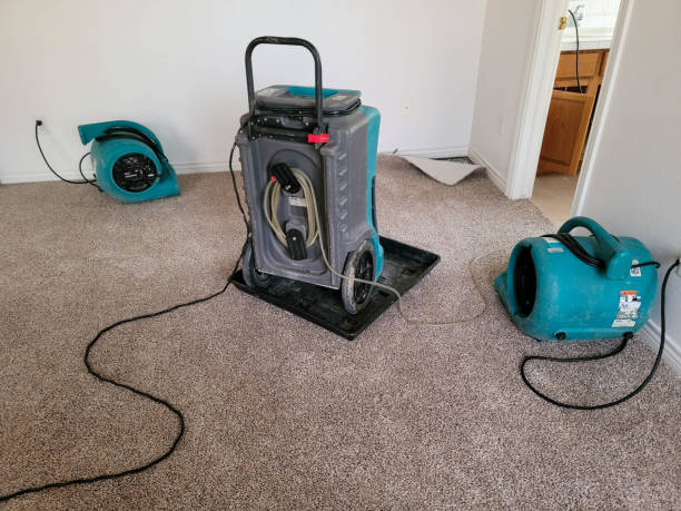 Best 24-hour water damage restoration  in Robins Af, GA