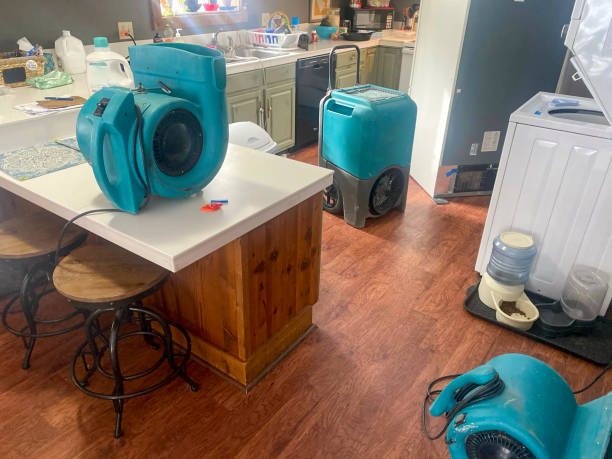 Carpet water damage restoration in Robins Af, GA