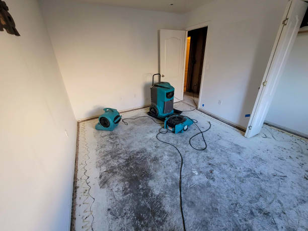 Best Water damage repair service  in Robins Af, GA