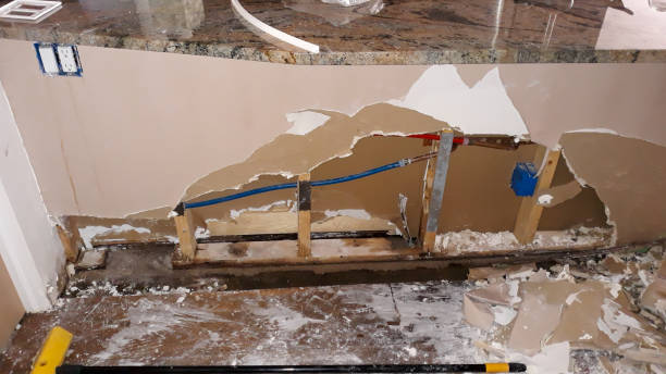 Best Professional water damage repair  in Robins Af, GA