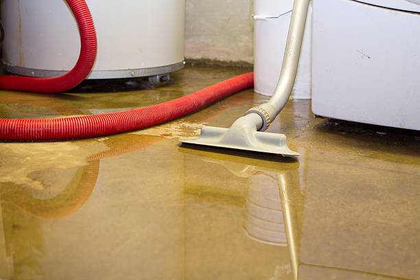 Best Water damage restoration near me  in Robins Af, GA