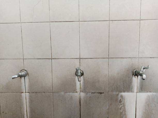 Best 24/7 water damage repair  in Robins Af, GA