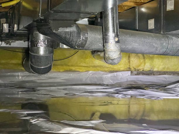 Best Ceiling water damage repair  in Robins Af, GA