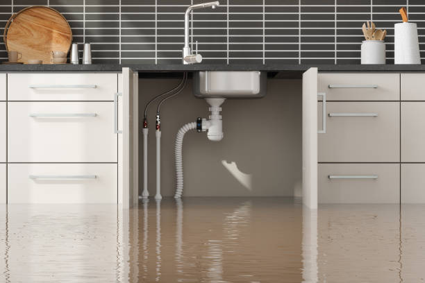 Best Water damage restoration services  in Robins Af, GA