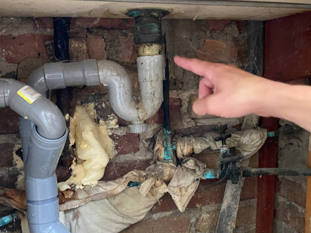 Best Professional water damage repair  in Robins Af, GA