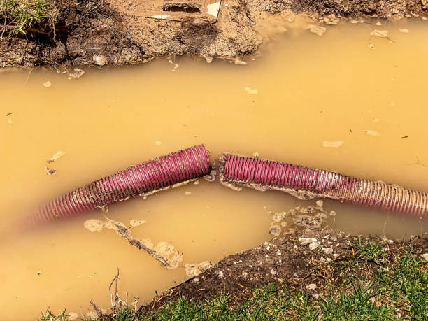 Best Water damage restoration near me  in Robins Af, GA