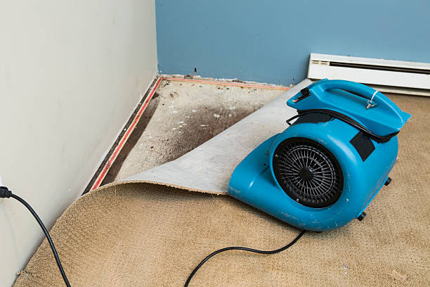 Best 24/7 water damage repair  in Robins Af, GA